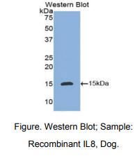 https://msimg.bioon.com/bionline/goods-no-pic.png