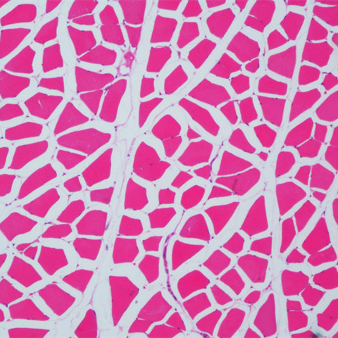 https://msimg.bioon.com/bionline/goods-no-pic.png