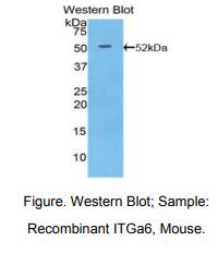 https://msimg.bioon.com/bionline/goods-no-pic.png