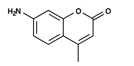 AFC 7-氨基-4-三氟甲基香豆素 CAS 53518-15-3