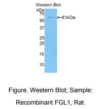 https://msimg.bioon.com/bionline/goods-no-pic.png