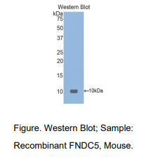 https://msimg.bioon.com/bionline/goods-no-pic.png