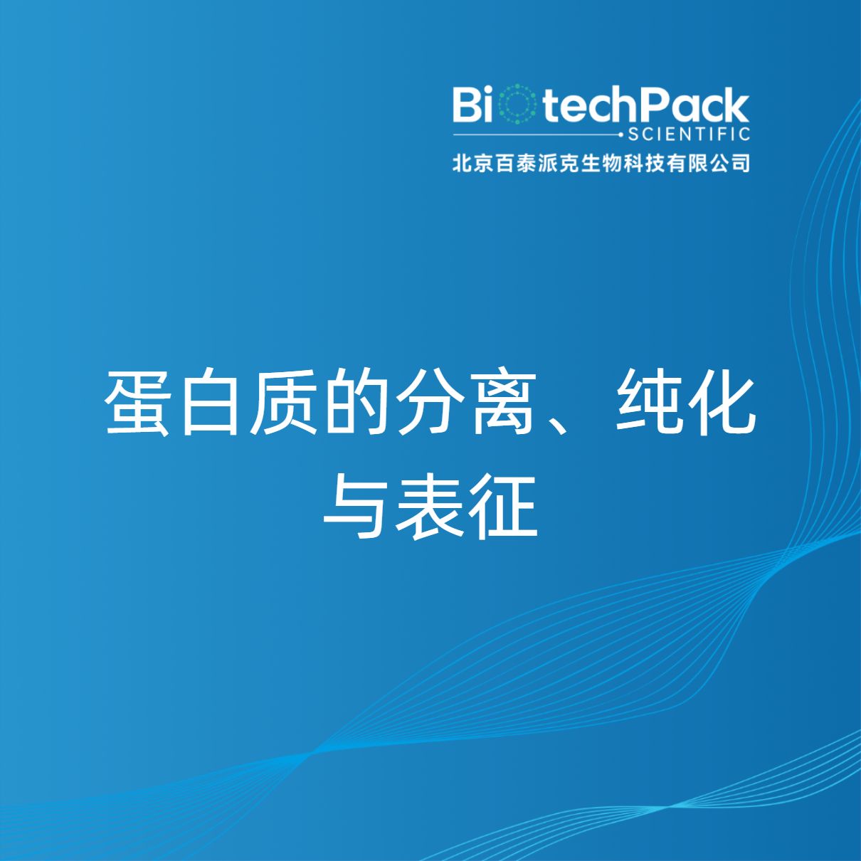 蛋白质的分离、纯化与表征