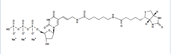 FMOC-天冬氨酸（生物素基PEG）-OH染料