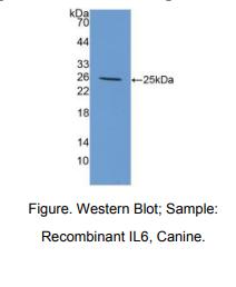 https://msimg.bioon.com/bionline/goods-no-pic.png