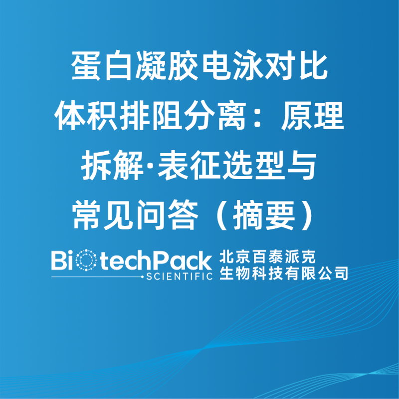 蛋白凝胶电泳对比体积排阻分离：原理拆解·表征选型与常见问答（摘要）