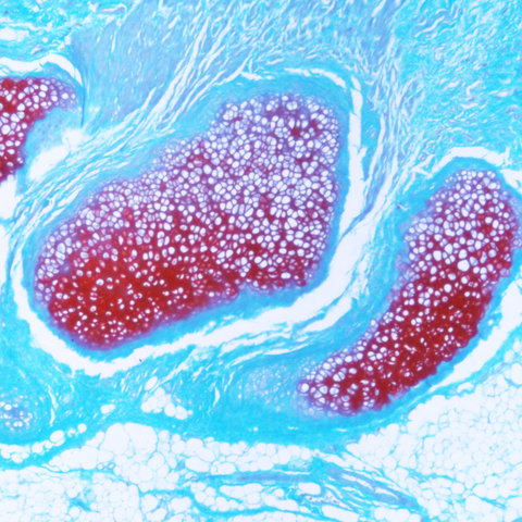 https://msimg.bioon.com/bionline/goods-no-pic.png