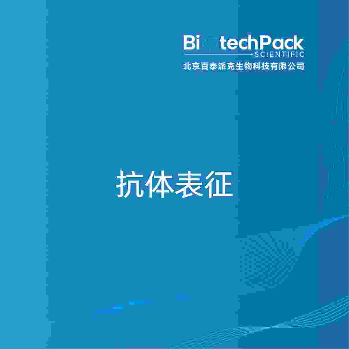 抗体表征