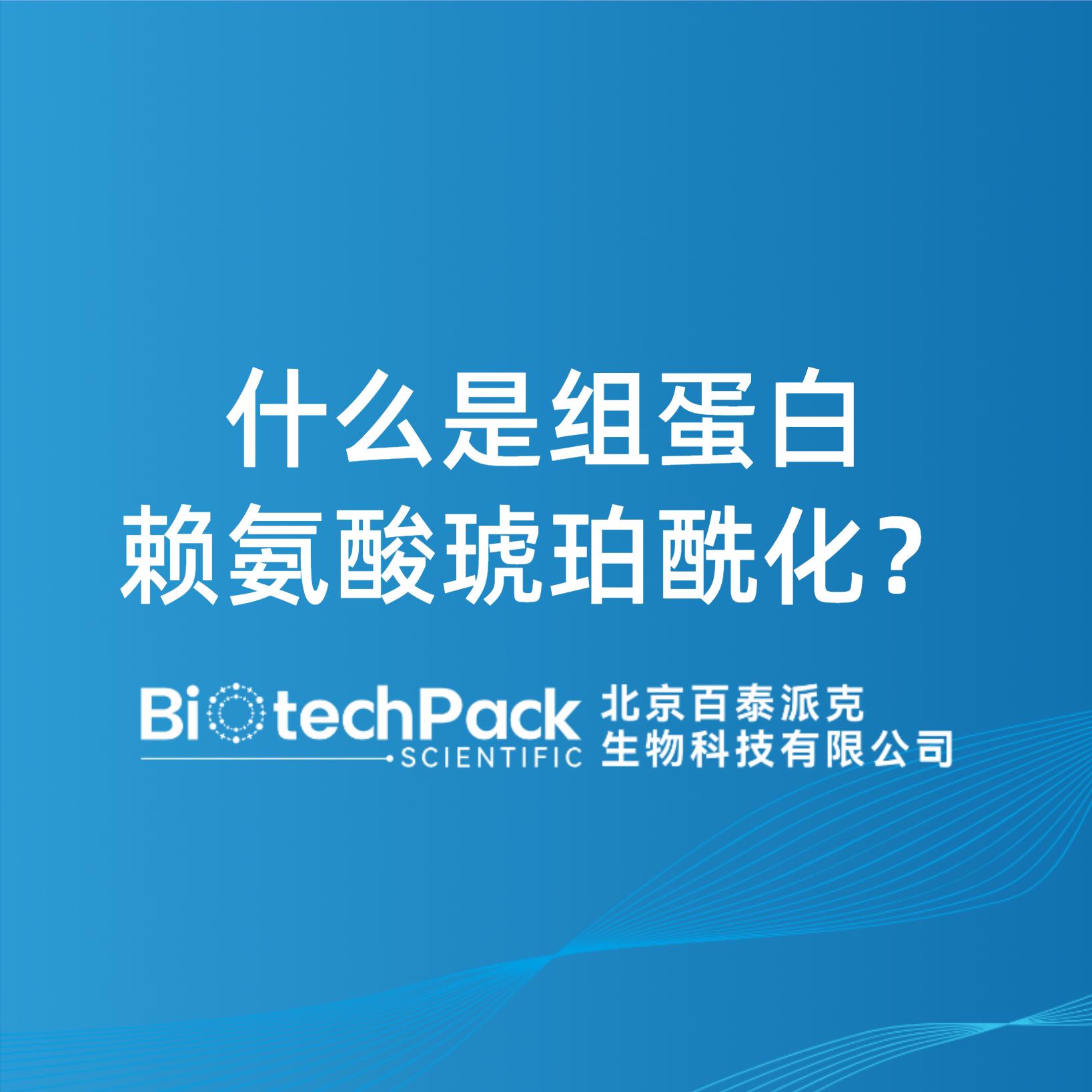 什么是組蛋白賴氨酸琥珀酰化？