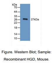 https://msimg.bioon.com/bionline/goods-no-pic.png