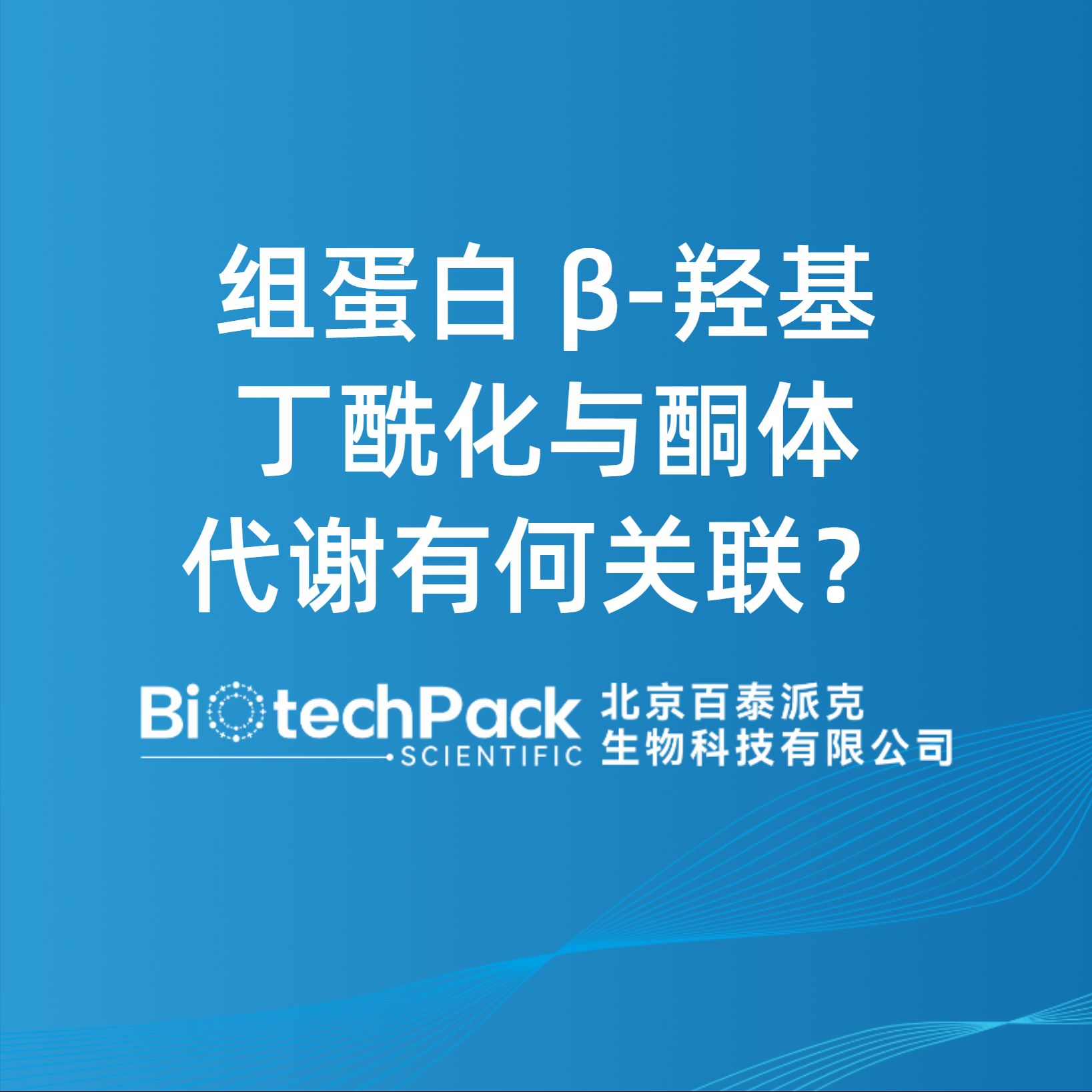 组蛋白 β-羟基丁酰化与酮体代谢有何关联？