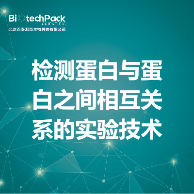 检测蛋白与蛋白之间相互关系的实验技术