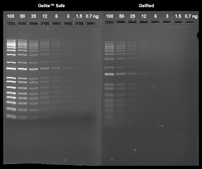 Gelite Safe DNA 凝胶染料 *GelRed 替代品，10,000X 水溶液*