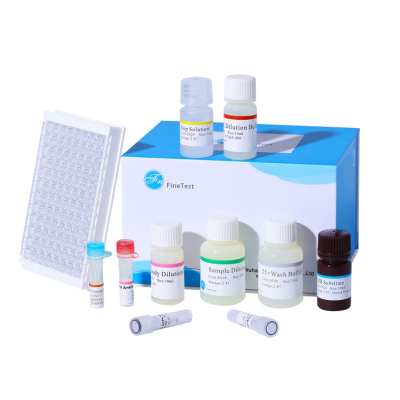 Anti-Panitumumab antibody ELISA Kit|抗帕尼單抗(Panitumumab)抗體ELISA試劑盒