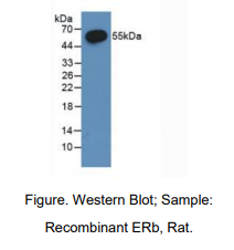 https://msimg.bioon.com/bionline/goods-no-pic.png