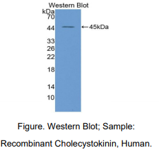 https://msimg.bioon.com/bionline/goods-no-pic.png