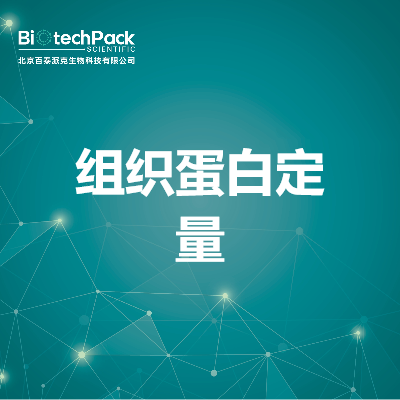 组织蛋白定量