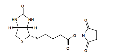 IDA琥珀酰亚胺酯
