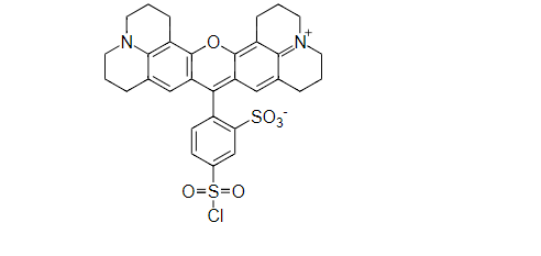 磺酰罗丹明G CAS 5873-16-5