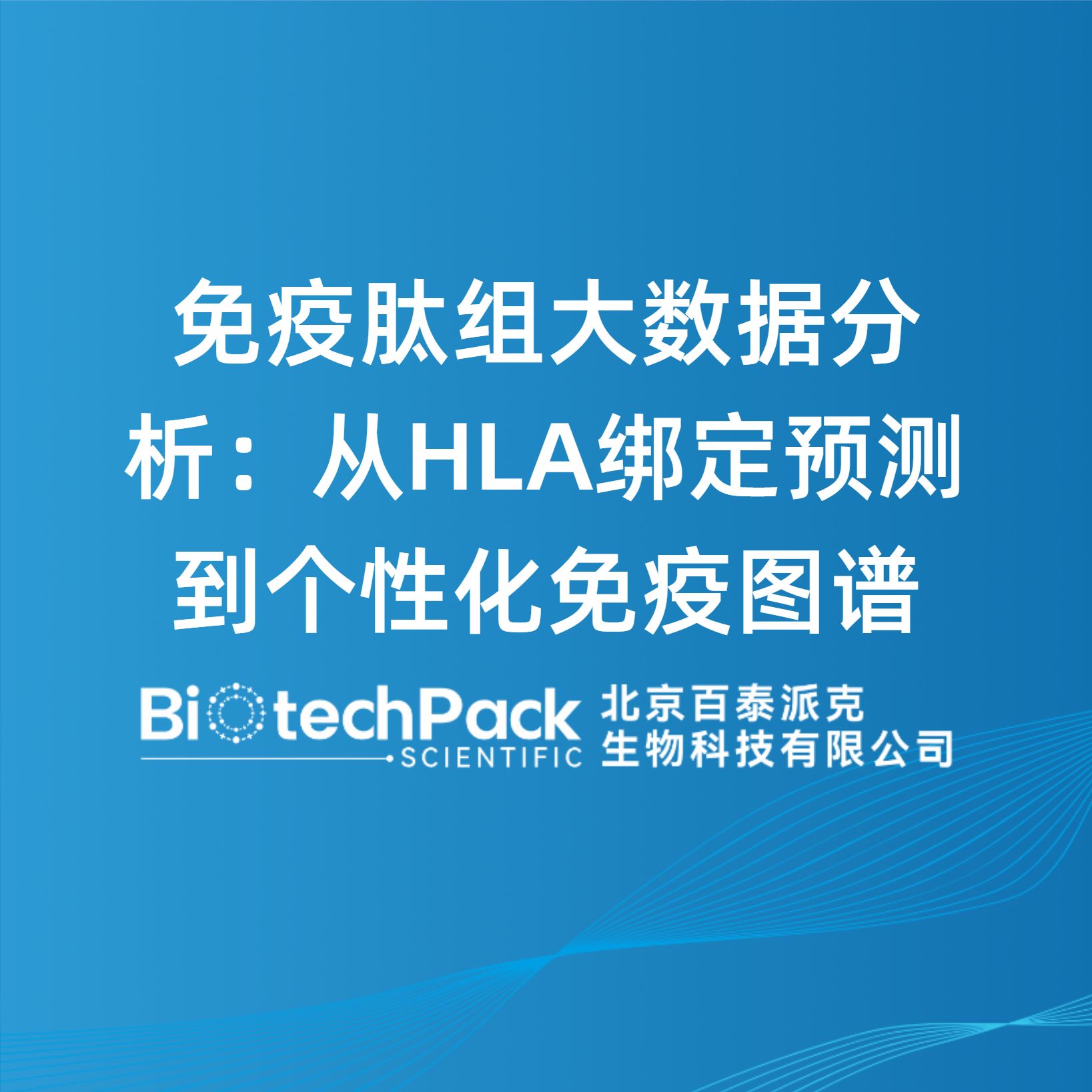 免疫肽组大数据分析：从HLA绑定预测到个性化免疫图谱