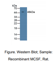 https://msimg.bioon.com/bionline/goods-no-pic.png