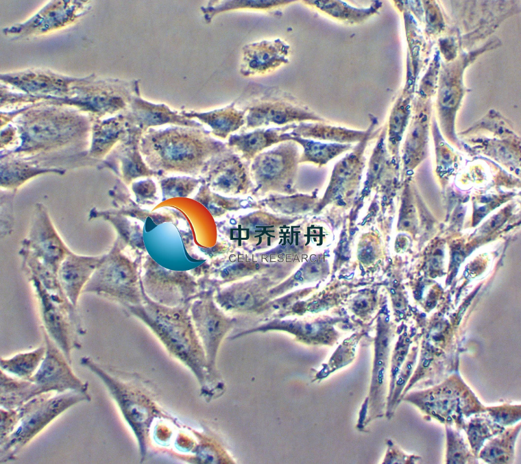 https://img.medsci.cn/8eee53bbc4cb7a98de615e72115896bc4e27fda5cbb764dbd67d9d641c2bb46a.png
