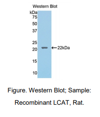 https://msimg.bioon.com/bionline/goods-no-pic.png