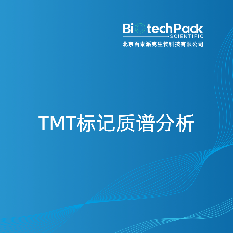 TMT标记质谱分析