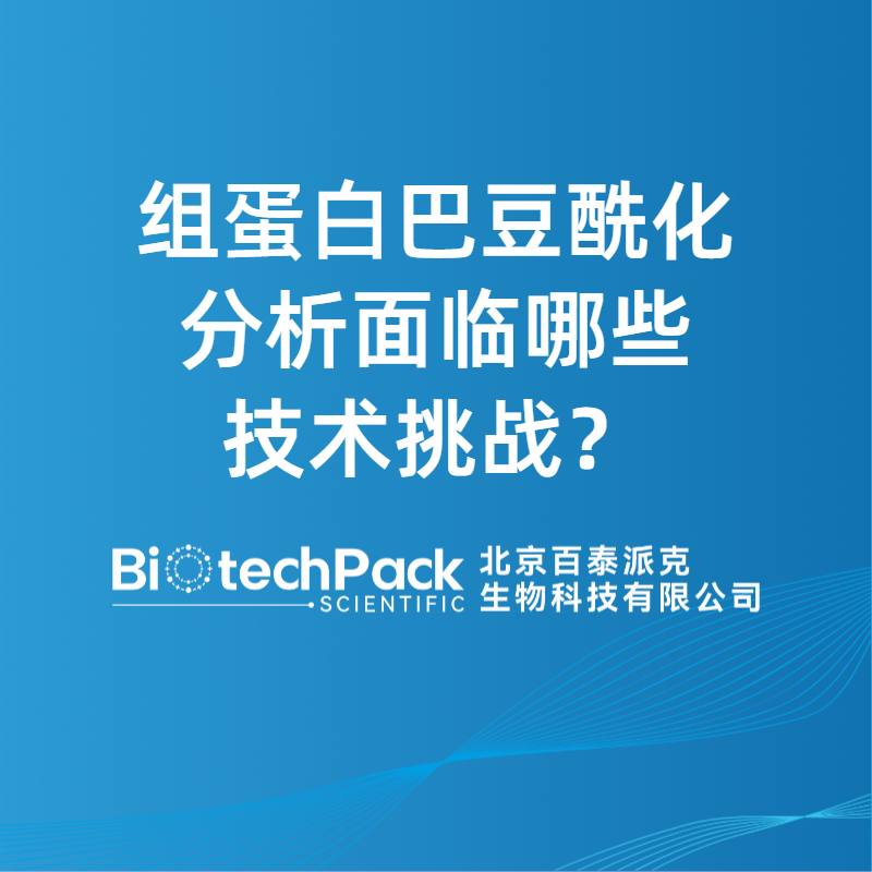 組蛋白巴豆酰化分析面臨哪些技術挑戰？