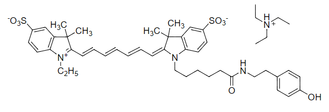 Cy7 酪胺