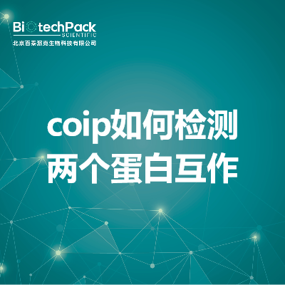 coip如何检测两个蛋白互作