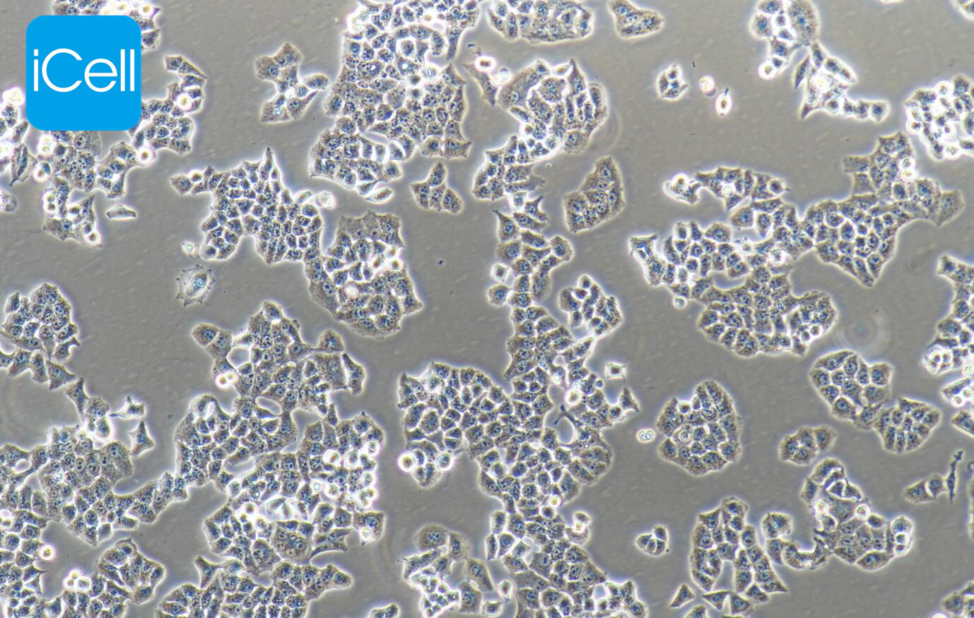 https://img.medsci.cn/5f561f9d1966c8a40c069b97fcac23b82666d7612246dbae75064de0bed04333.png