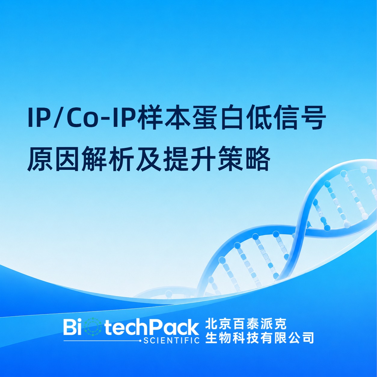 IP/Co-IP样本蛋白低信号原因解析及提升策略