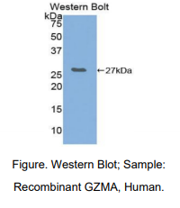 https://msimg.bioon.com/bionline/goods-no-pic.png