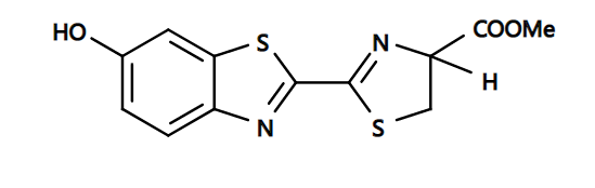 https://msimg.bioon.com/bionline/goods-no-pic.png