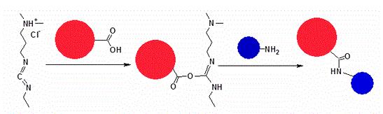 https://img.medsci.cn/e73eefcea40976357f460123cbf1e819c54e5106c9b457225be13b1cbc991aff.png