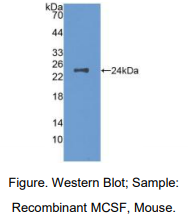 https://msimg.bioon.com/bionline/goods-no-pic.png