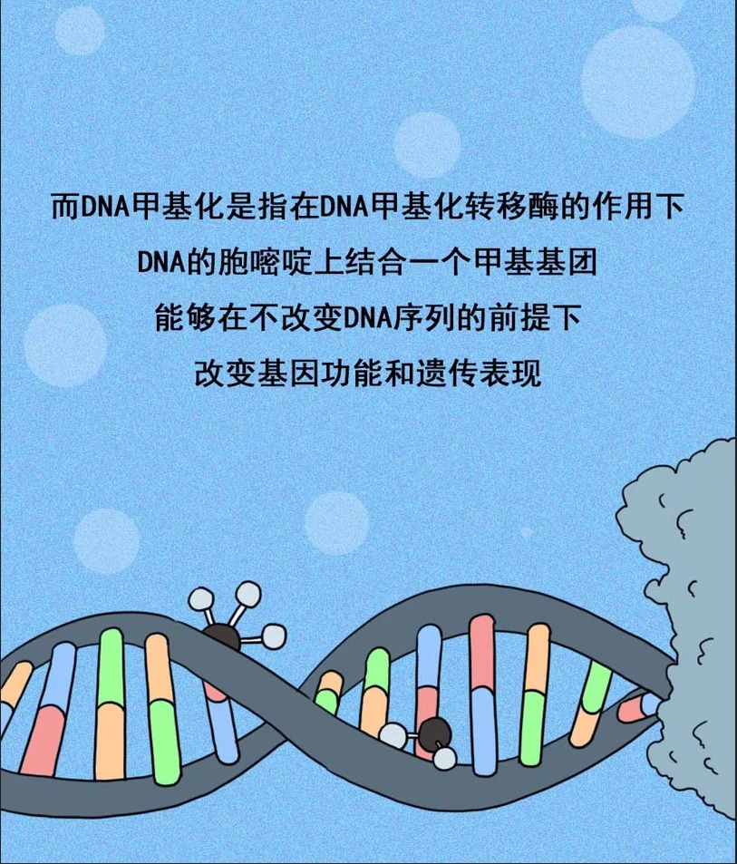 https://msimg.bioon.com/bionline/goods-no-pic.png