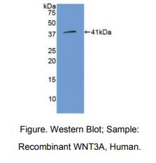 https://msimg.bioon.com/bionline/goods-no-pic.png