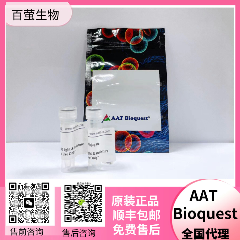 AAT Bioquest FAM-xtra 亚磷酰胺 货号6039