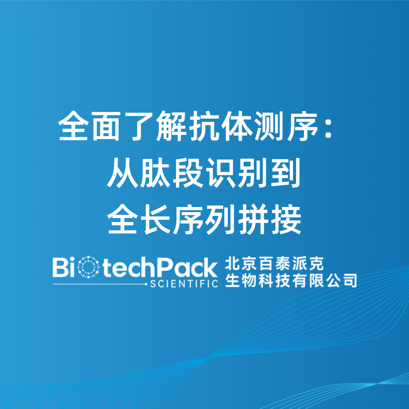 全面了解抗体测序：从肽段识别到全长序列拼接