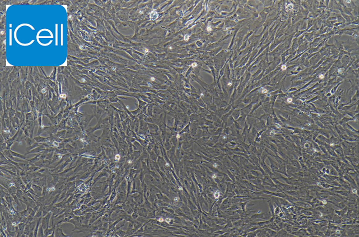 https://img.medsci.cn/5f561f9d1966c8a40c069b97fcac23b82666d7612246dbae75064de0bed04333.png