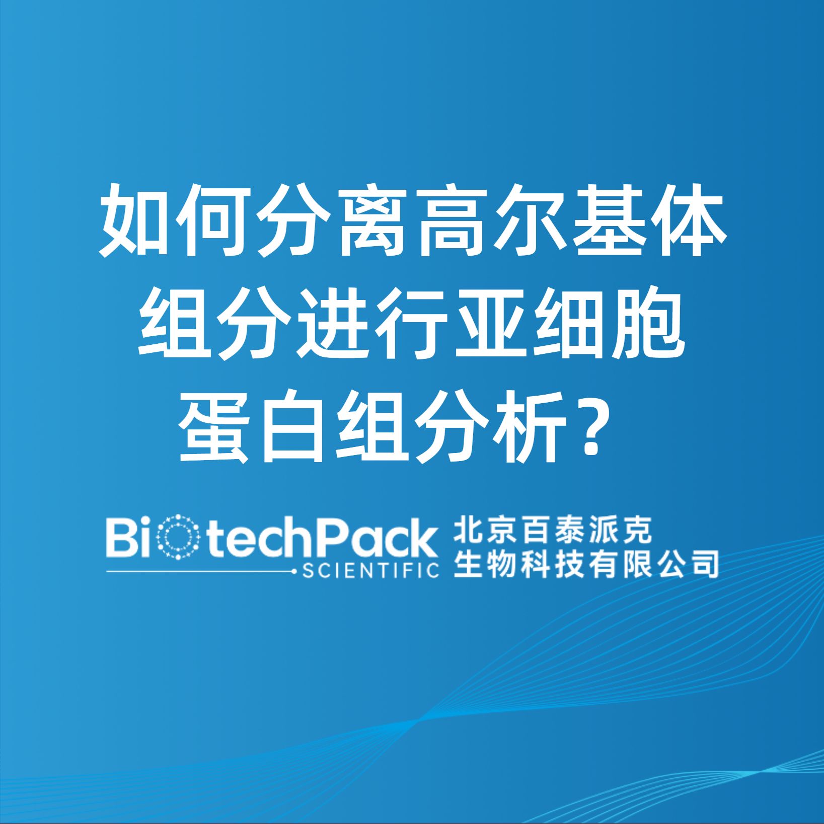 如何分離高爾基體組分進行亞細胞蛋白組分析？