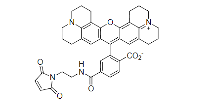6-ROX 6-羧基-C2-罗丹明马来酰亚胺