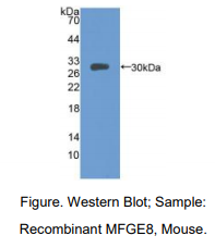 https://msimg.bioon.com/bionline/goods-no-pic.png