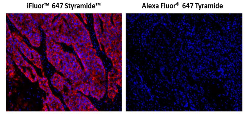 https://img.medsci.cn/e73eefcea40976357f460123cbf1e819c54e5106c9b457225be13b1cbc991aff.png