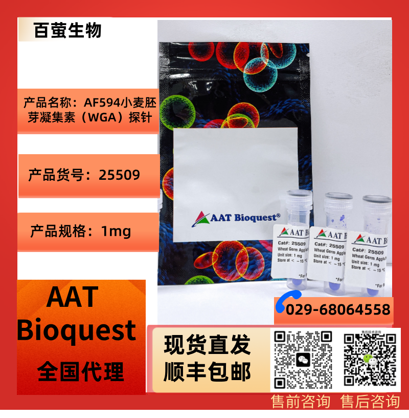 AAT Bioquest AF594小麦胚芽凝集素（WGA）探针 货号25509