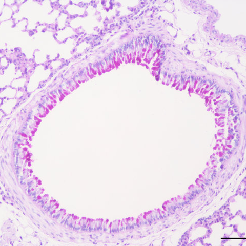 https://msimg.bioon.com/bionline/goods-no-pic.png