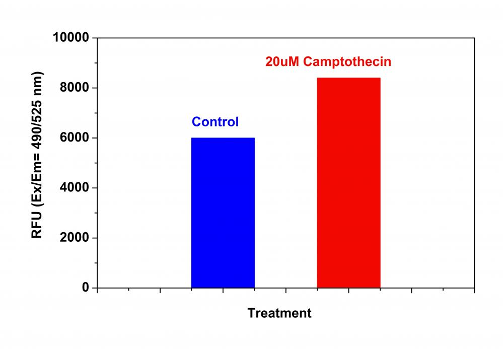 https://img.medsci.cn/e73eefcea40976357f460123cbf1e819c54e5106c9b457225be13b1cbc991aff.png