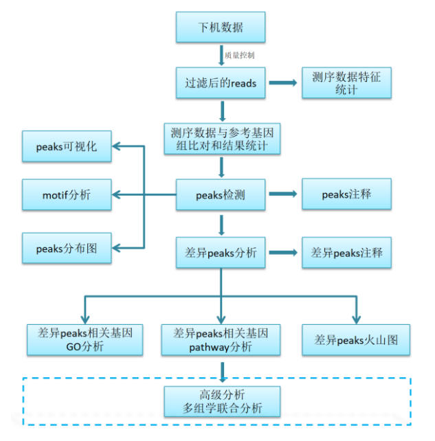 m6A MeRIP-seq测序分析服务